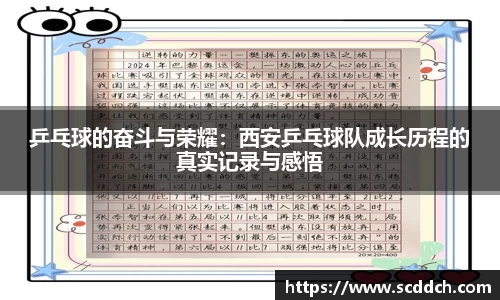 乒乓球的奋斗与荣耀：西安乒乓球队成长历程的真实记录与感悟