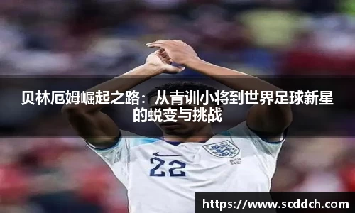 kaiyun开云官方网页版