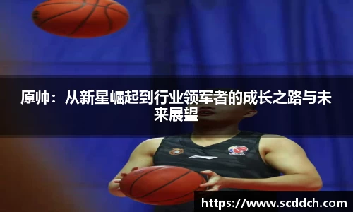 kaiyun原帅：从新星崛起到行业领军者的成长之路与未来展望